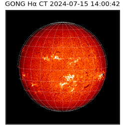 gong - 2024-07-15T14:00:42