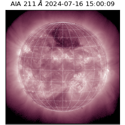 saia - 2024-07-16T15:00:09.626000