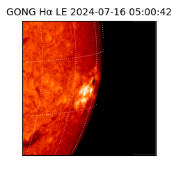 gong - 2024-07-16T05:00:42