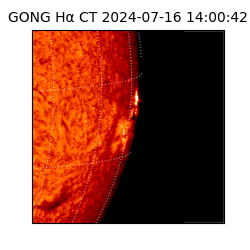 gong - 2024-07-16T14:00:42
