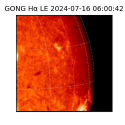gong - 2024-07-16T06:00:42