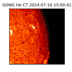 gong - 2024-07-16T15:00:42