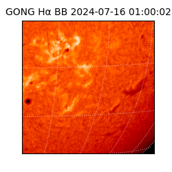 gong - 2024-07-16T01:00:02