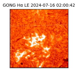 gong - 2024-07-16T02:00:42