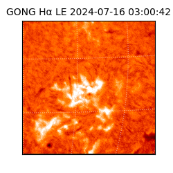 gong - 2024-07-16T03:00:42