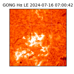 gong - 2024-07-16T07:00:42