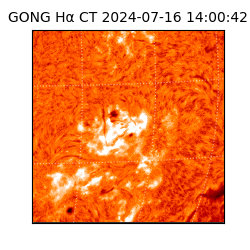 gong - 2024-07-16T14:00:42