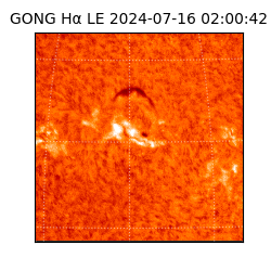 gong - 2024-07-16T02:00:42