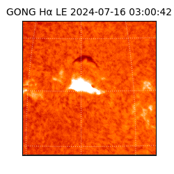 gong - 2024-07-16T03:00:42
