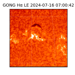 gong - 2024-07-16T07:00:42