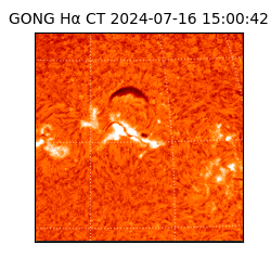 gong - 2024-07-16T15:00:42