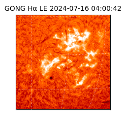 gong - 2024-07-16T04:00:42