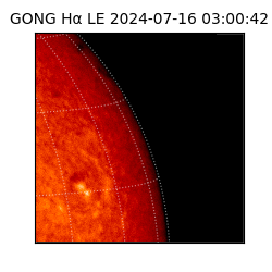gong - 2024-07-16T03:00:42