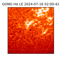 gong - 2024-07-16T02:00:42