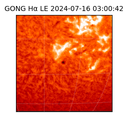 gong - 2024-07-16T03:00:42