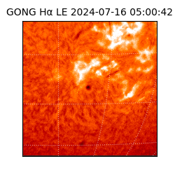 gong - 2024-07-16T05:00:42