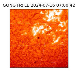 gong - 2024-07-16T07:00:42