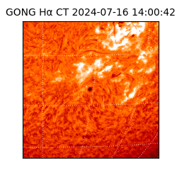 gong - 2024-07-16T14:00:42