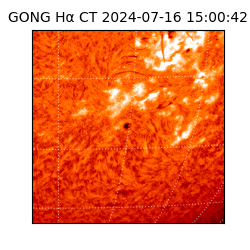 gong - 2024-07-16T15:00:42