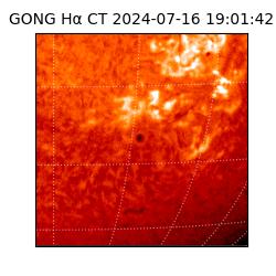 gong - 2024-07-16T19:01:42