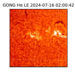 gong - 2024-07-16T02:00:42