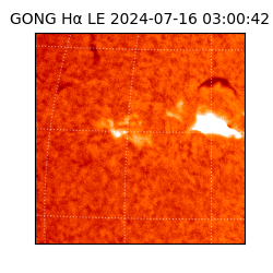 gong - 2024-07-16T03:00:42