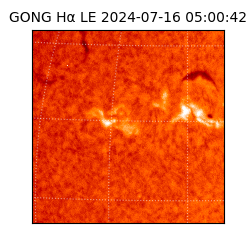 gong - 2024-07-16T05:00:42