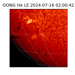 gong - 2024-07-16T02:00:42