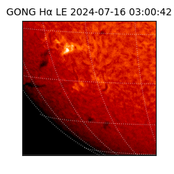 gong - 2024-07-16T03:00:42