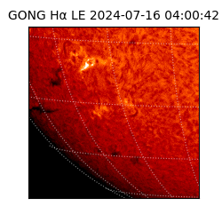 gong - 2024-07-16T04:00:42