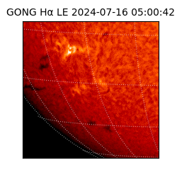 gong - 2024-07-16T05:00:42