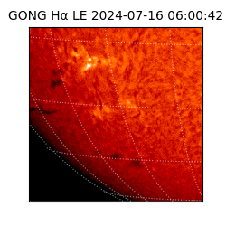 gong - 2024-07-16T06:00:42