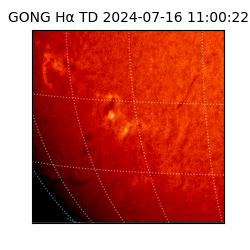 gong - 2024-07-16T11:00:22