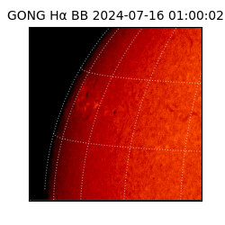 gong - 2024-07-16T01:00:02