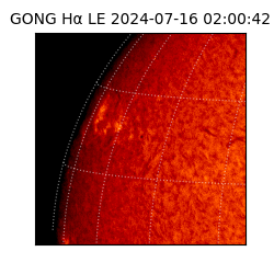 gong - 2024-07-16T02:00:42