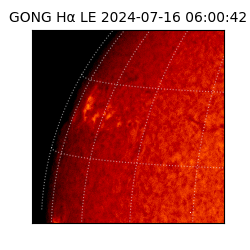 gong - 2024-07-16T06:00:42