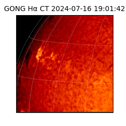 gong - 2024-07-16T19:01:42