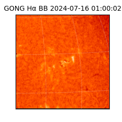 gong - 2024-07-16T01:00:02