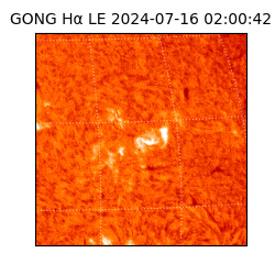 gong - 2024-07-16T02:00:42