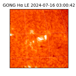 gong - 2024-07-16T03:00:42