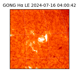 gong - 2024-07-16T04:00:42