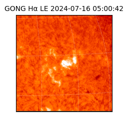 gong - 2024-07-16T05:00:42