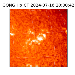 gong - 2024-07-16T20:00:42