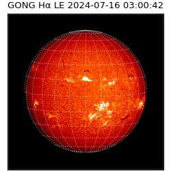 gong - 2024-07-16T03:00:42