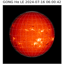 gong - 2024-07-16T06:00:42