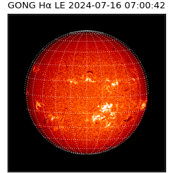 gong - 2024-07-16T07:00:42