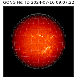 gong - 2024-07-16T09:07:22