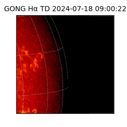 gong - 2024-07-18T09:00:22