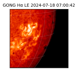 gong - 2024-07-18T07:00:42
