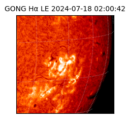 gong - 2024-07-18T02:00:42